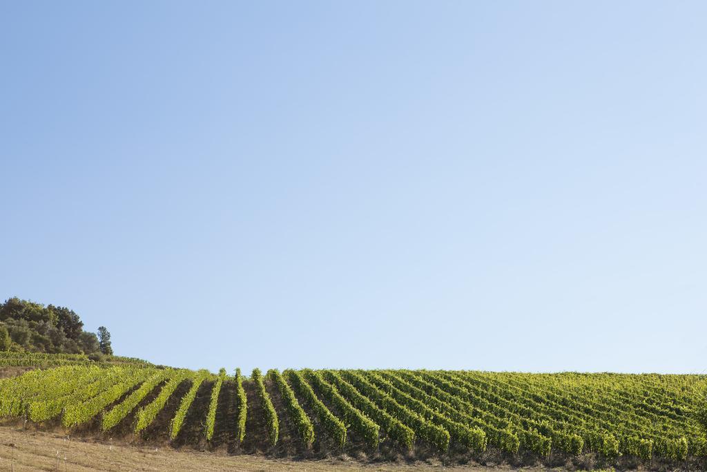 Quercia Al Poggio Villa Barberino di Val dʼElsa Exterior foto